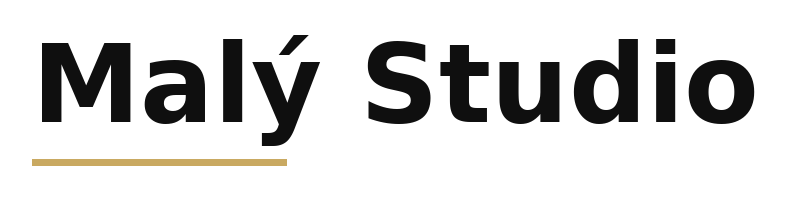 Malý Studio logo